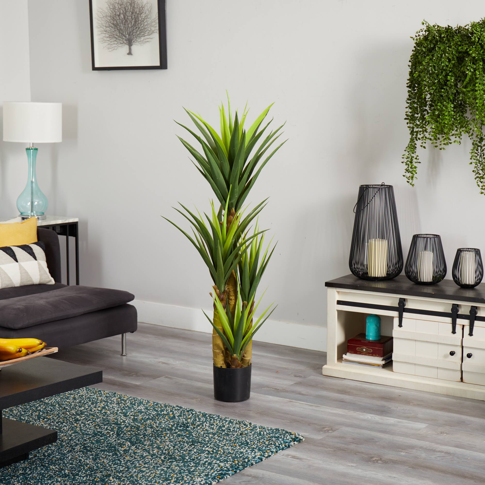4.5ft. Potted Dracaena Plant